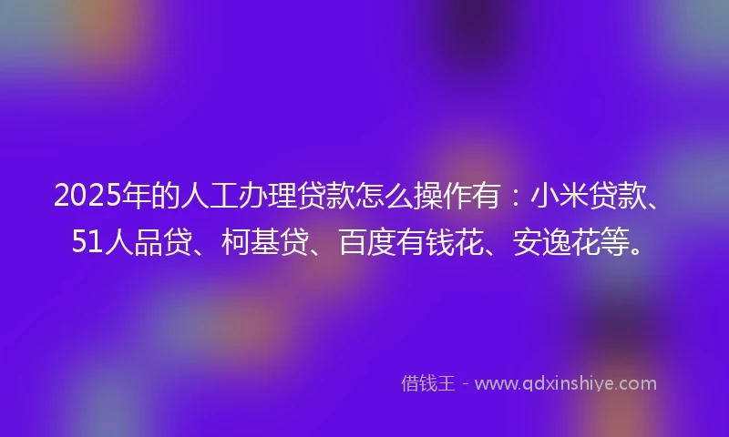 2025年的人工办理贷款怎么操作有：小米贷款、51人品贷、柯基贷、百度有钱花、安逸花等。