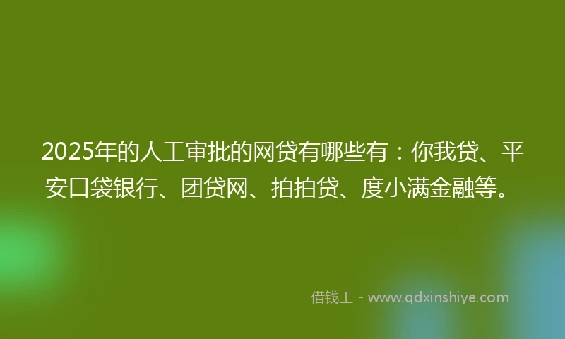 2025年的人工审批的网贷有哪些有：你我贷、平安口袋银行、团贷网、拍拍贷、度小满金融等。