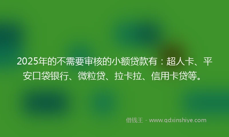 2025年的不需要审核的小额贷款有：超人卡、平安口袋银行、微粒贷、拉卡拉、信用卡贷等。