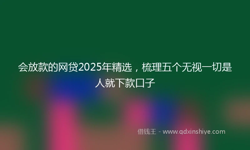 会放款的网贷2025年精选，梳理五个无视一切是人就下款口子
