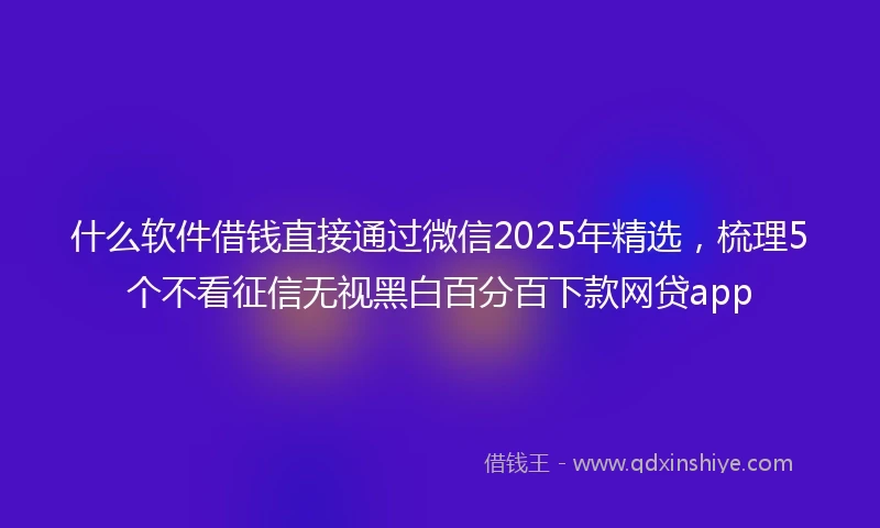 什么软件借钱直接通过微信2025年精选，梳理5个不看征信无视黑白百分百下款网贷app