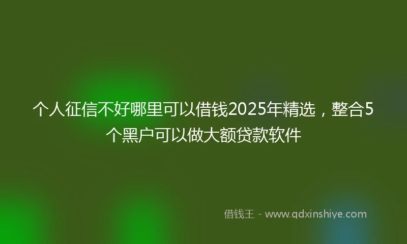 个人征信不好哪里可以借钱2025年精选，整合5个黑户可以做大额贷款软件