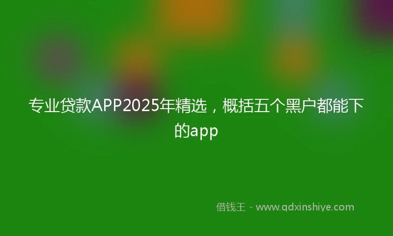 专业贷款APP2025年精选，概括五个黑户都能下的app