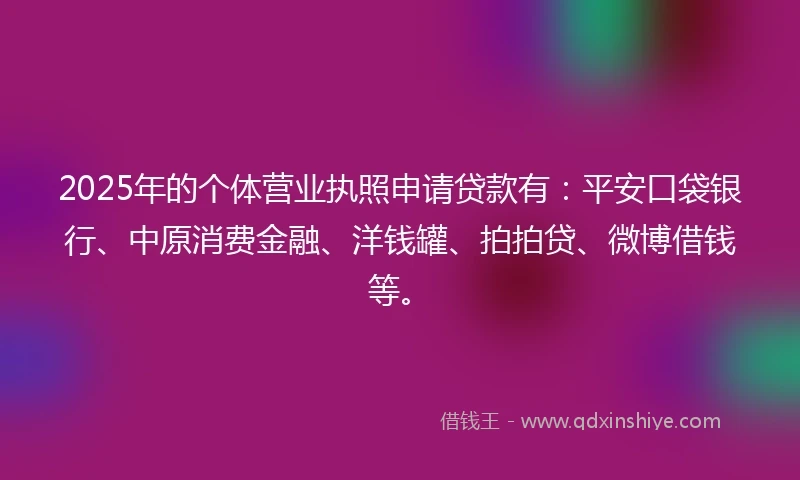 2025年的个体营业执照申请贷款有：平安口袋银行、中原消费金融、洋钱罐、拍拍贷、微博借钱等。