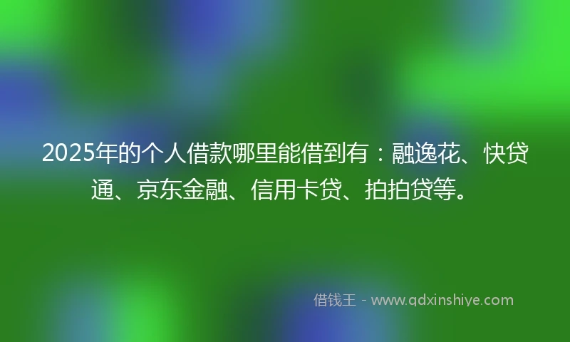 2025年的个人借款哪里能借到有：融逸花、快贷通、京东金融、信用卡贷、拍拍贷等。