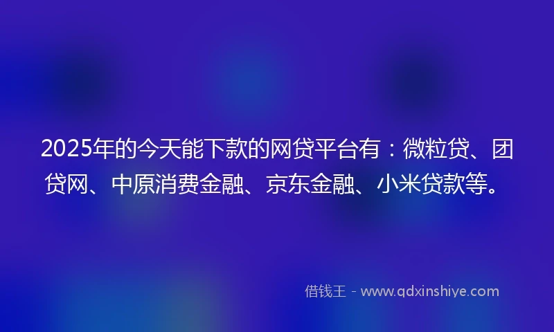 2025年的今天能下款的网贷平台有：微粒贷、团贷网、中原消费金融、京东金融、小米贷款等。
