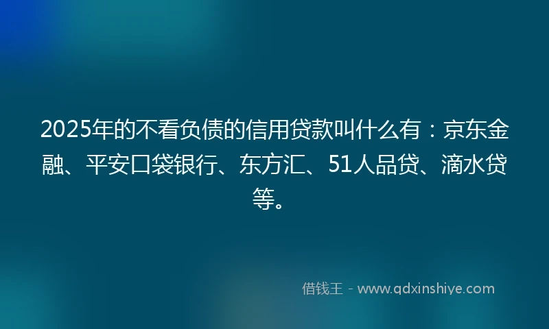2025年的不看负债的信用贷款叫什么有：京东金融、平安口袋银行、东方汇、51人品贷、滴水贷等。