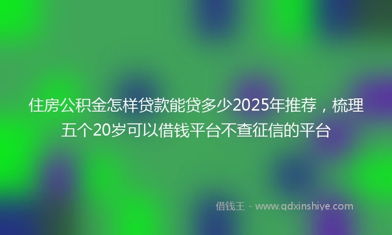 住房公积金怎样贷款能贷多少2025年推荐，梳理五个20岁可以借钱平台不查征信的平台