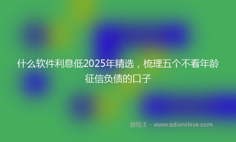 什么软件利息低2025年精选，梳理五个不看年龄征信负债的口子