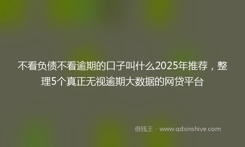 不看负债不看逾期的口子叫什么2025年推荐，整理5个真正无视逾期大数据的网贷平台