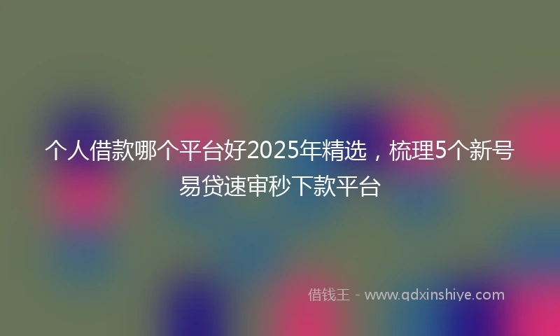 个人借款哪个平台好2025年精选，梳理5个新号易贷速审秒下款平台