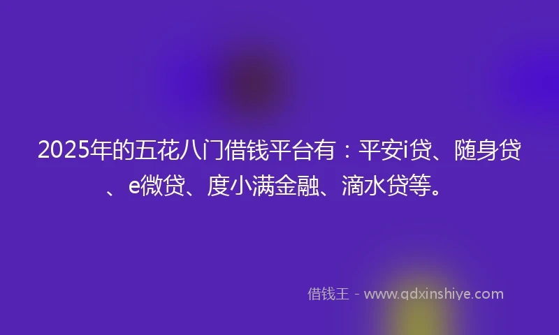 2025年的五花八门借钱平台有：平安i贷、随身贷、e微贷、度小满金融、滴水贷等。