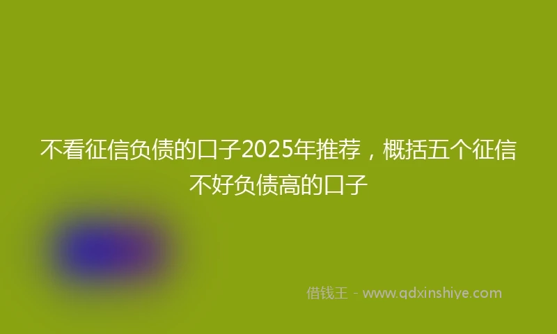 不看征信负债的口子2025年推荐，概括五个征信不好负债高的口子