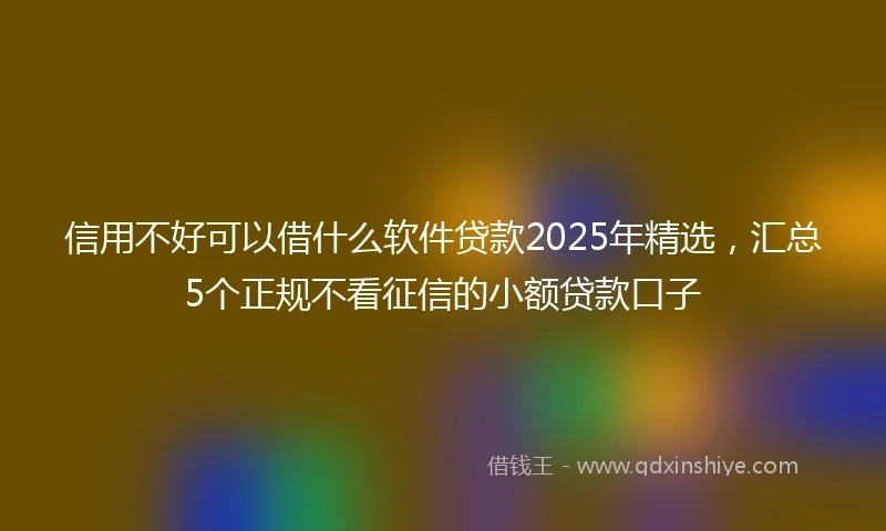 信用不好可以借什么软件贷款2025年精选，汇总5个正规不看征信的小额贷款口子