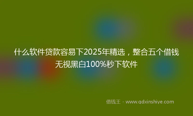 什么软件贷款容易下2025年精选，整合五个借钱无视黑白100%秒下软件