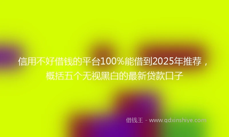 信用不好借钱的平台100%能借到2025年推荐，概括五个无视黑白的最新贷款口子