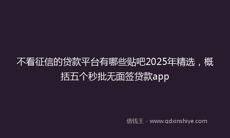不看征信的贷款平台有哪些贴吧2025年精选，概括五个秒批无面签贷款app