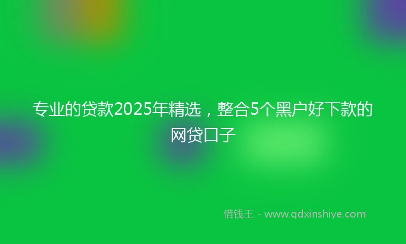 专业的贷款2025年精选，整合5个黑户好下款的网贷口子
