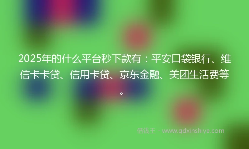 2025年的什么平台秒下款有：平安口袋银行、维信卡卡贷、信用卡贷、京东金融、美团生活费等。