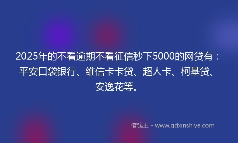 2025年的不看逾期不看征信秒下5000的网贷有：平安口袋银行、维信卡卡贷、超人卡、柯基贷、安逸花等。