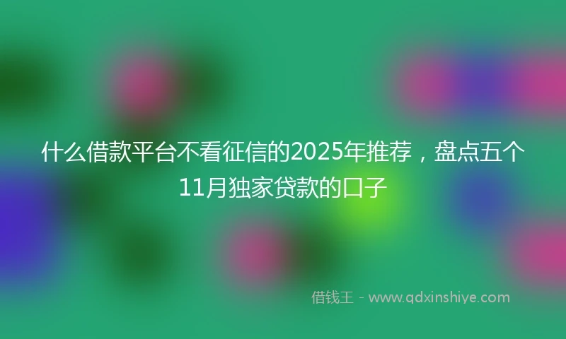 什么借款平台不看征信的2025年推荐，盘点五个11月独家贷款的口子