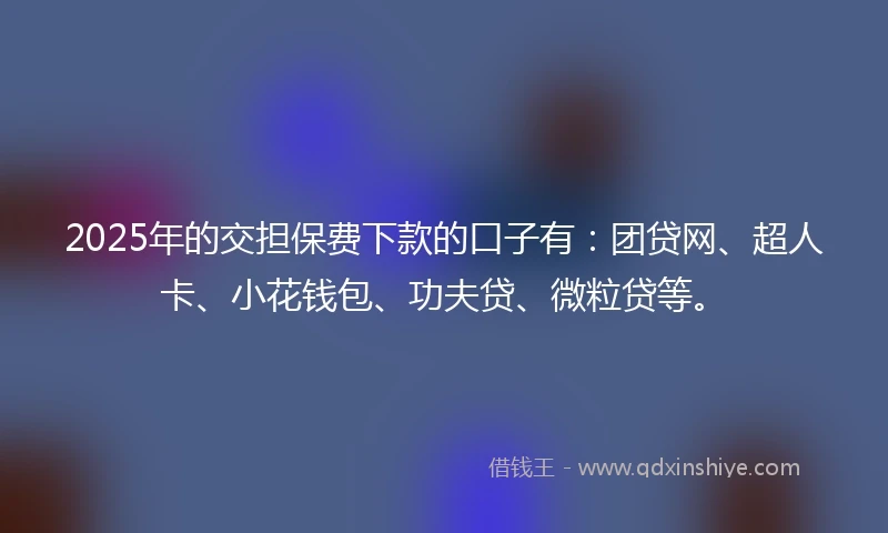 2025年的交担保费下款的口子有：团贷网、超人卡、小花钱包、功夫贷、微粒贷等。