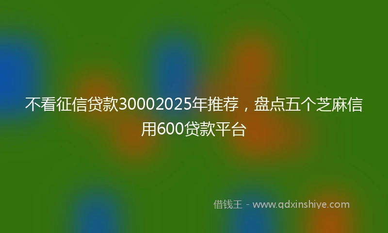 不看征信贷款30002025年推荐，盘点五个芝麻信用600贷款平台