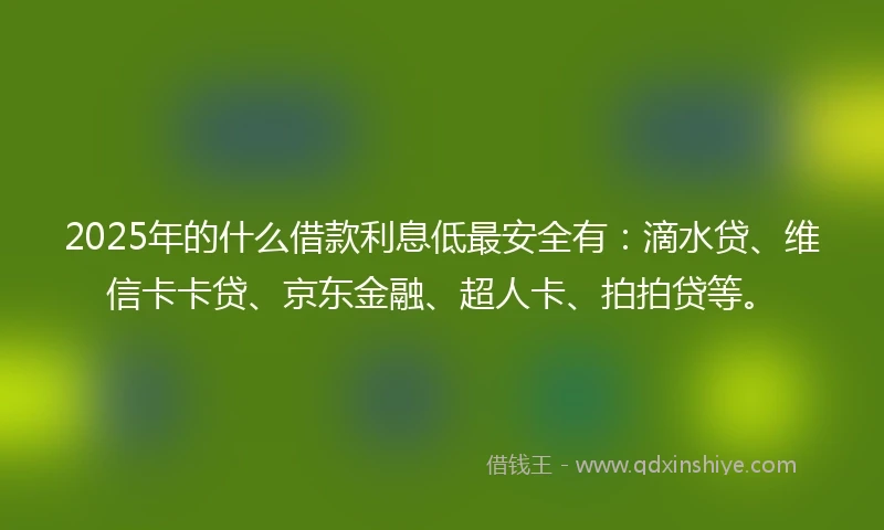2025年的什么借款利息低最安全有：滴水贷、维信卡卡贷、京东金融、超人卡、拍拍贷等。