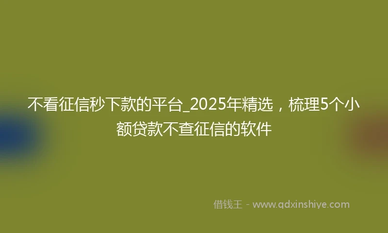 不看征信秒下款的平台_2025年精选，梳理5个小额贷款不查征信的软件