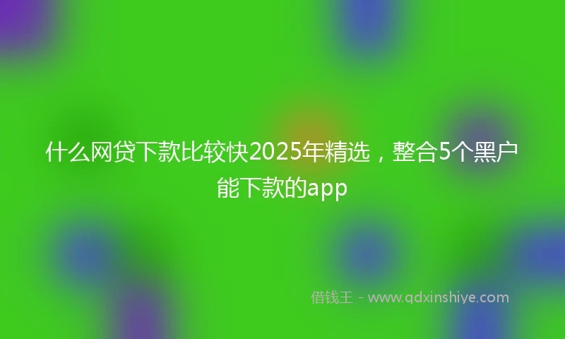 什么网贷下款比较快2025年精选，整合5个黑户能下款的app