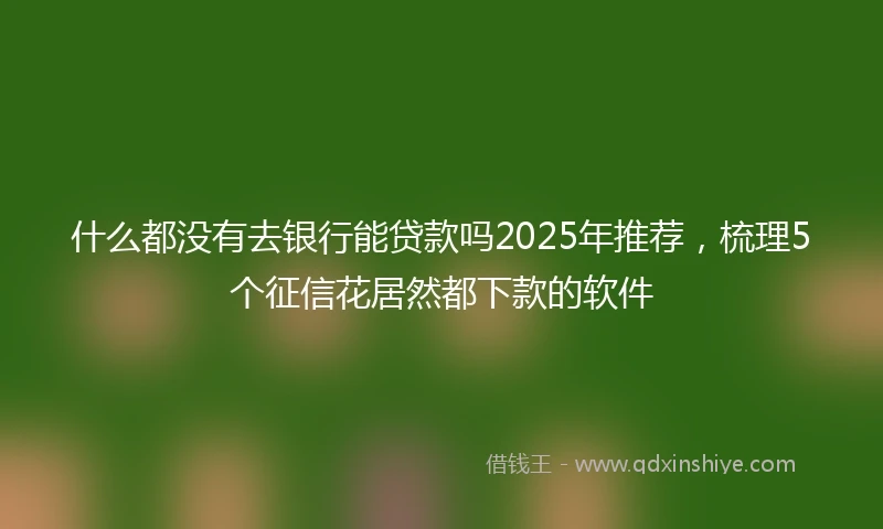 什么都没有去银行能贷款吗2025年推荐，梳理5个征信花居然都下款的软件