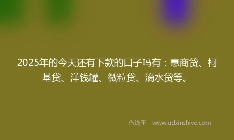 2025年的今天还有下款的口子吗有：惠商贷、柯基贷、洋钱罐、微粒贷、滴水贷等。