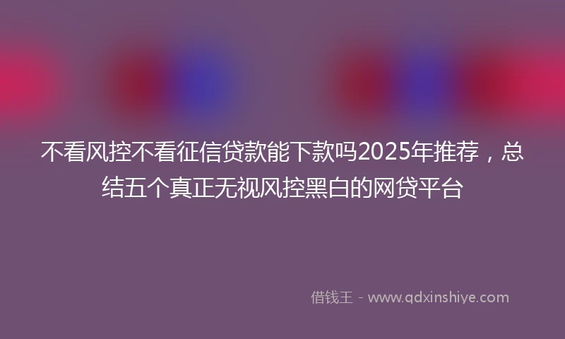不看风控不看征信贷款能下款吗2025年推荐，总结五个真正无视风控黑白的网贷平台
