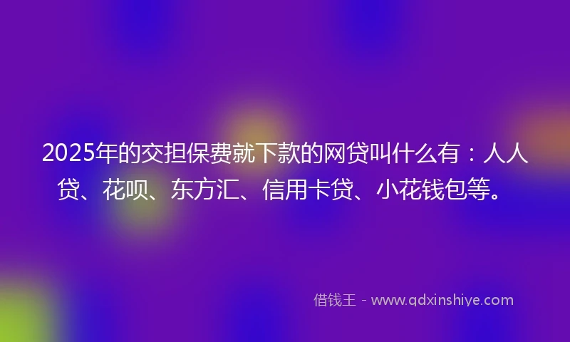 2025年的交担保费就下款的网贷叫什么有：人人贷、花呗、东方汇、信用卡贷、小花钱包等。