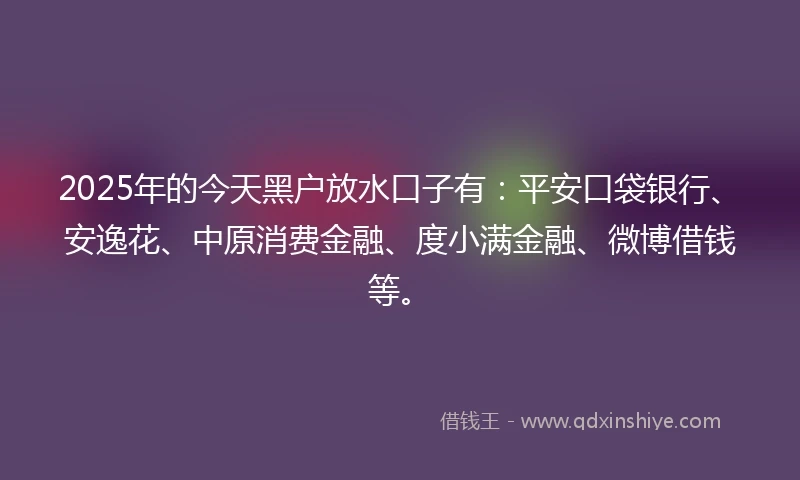 2025年的今天黑户放水口子有：平安口袋银行、安逸花、中原消费金融、度小满金融、微博借钱等。
