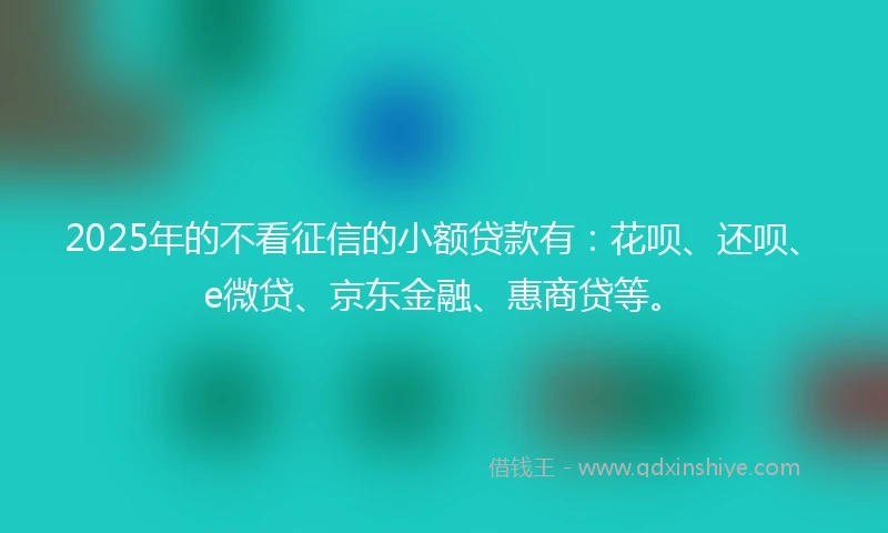 2025年的不看征信的小额贷款有：花呗、还呗、e微贷、京东金融、惠商贷等。