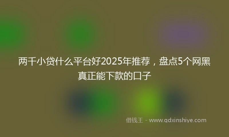 两千小贷什么平台好2025年推荐，盘点5个网黑真正能下款的口子