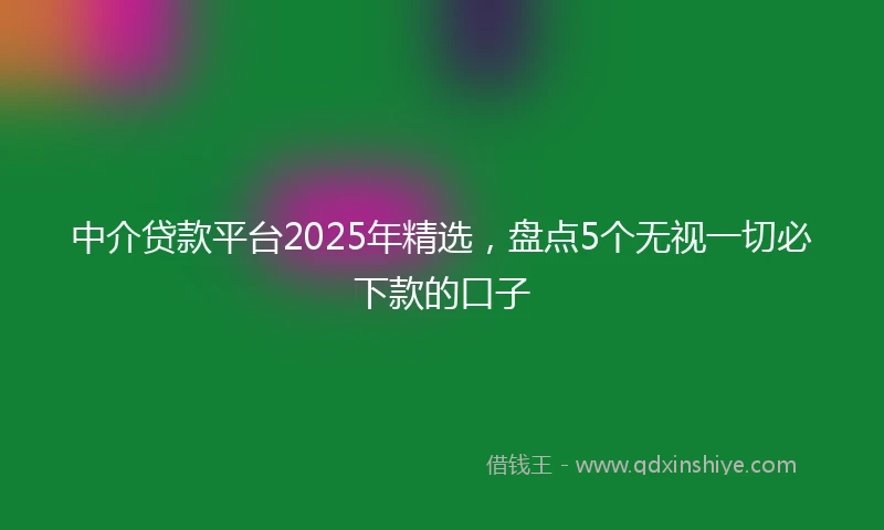 中介贷款平台2025年精选，盘点5个无视一切必下款的口子