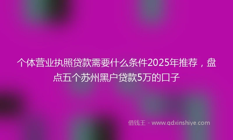 个体营业执照贷款需要什么条件2025年推荐，盘点五个苏州黑户贷款5万的口子