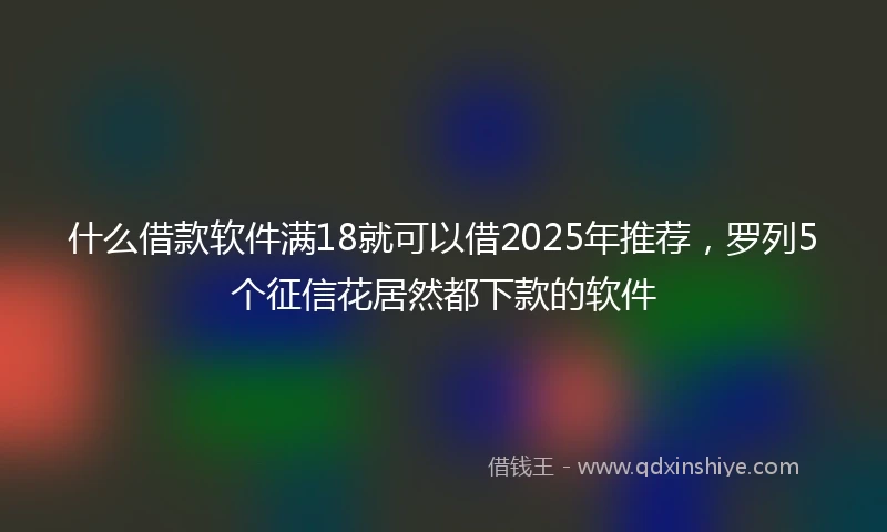 什么借款软件满18就可以借2025年推荐，罗列5个征信花居然都下款的软件