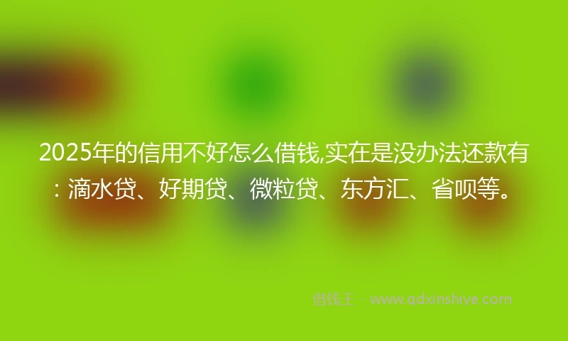 2025年的信用不好怎么借钱,实在是没办法还款有：滴水贷、好期贷、微粒贷、东方汇、省呗等。
