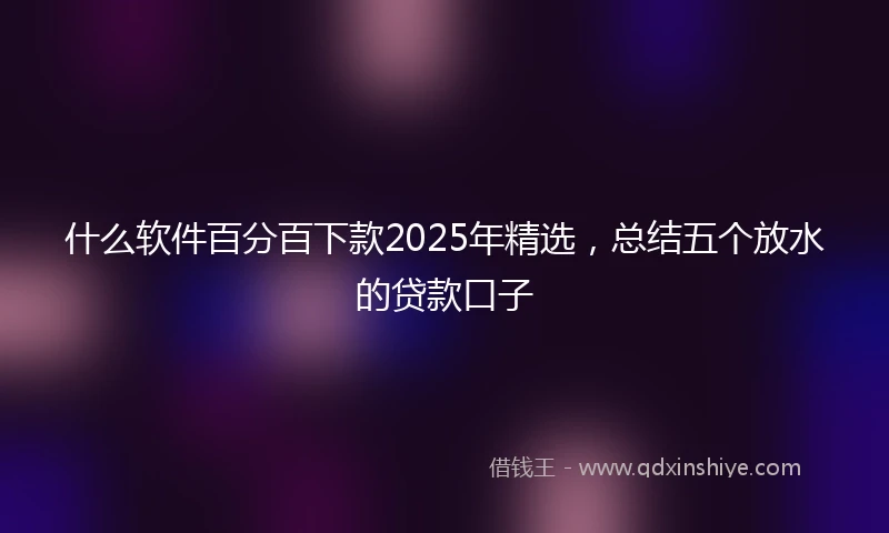 什么软件百分百下款2025年精选，总结五个放水的贷款口子