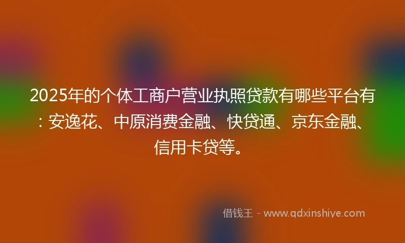 2025年的个体工商户营业执照贷款有哪些平台有：安逸花、中原消费金融、快贷通、京东金融、信用卡贷等。