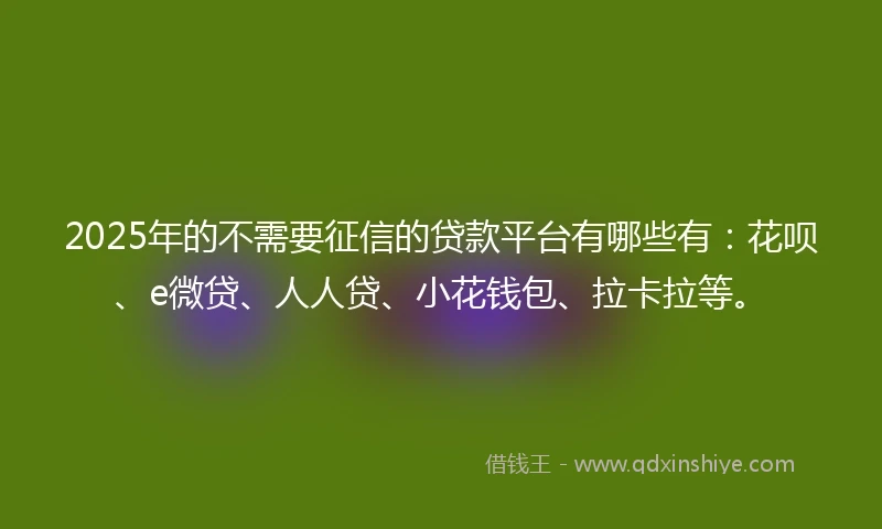 2025年的不需要征信的贷款平台有哪些有：花呗、e微贷、人人贷、小花钱包、拉卡拉等。