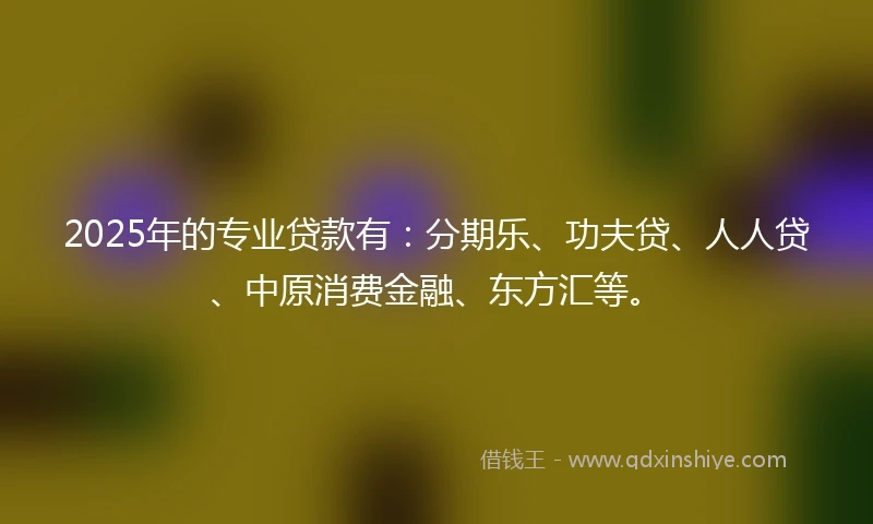 2025年的专业贷款有：分期乐、功夫贷、人人贷、中原消费金融、东方汇等。