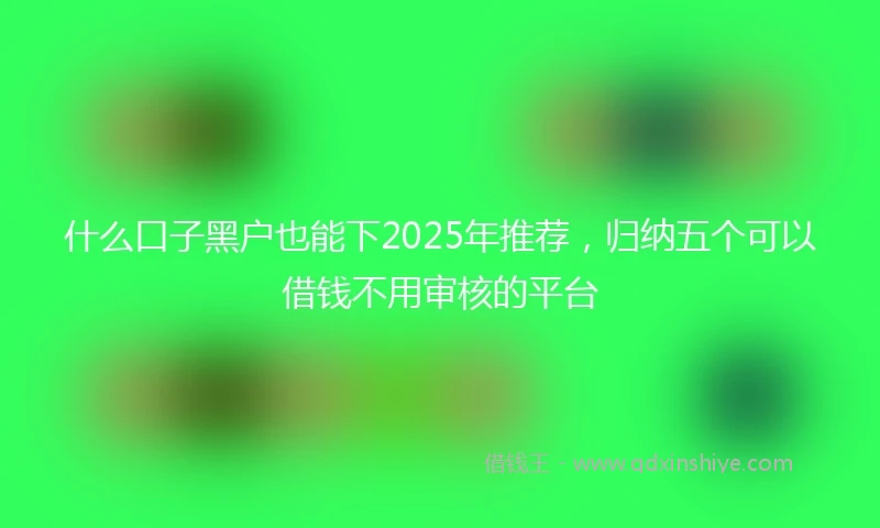 什么口子黑户也能下2025年推荐，归纳五个可以借钱不用审核的平台