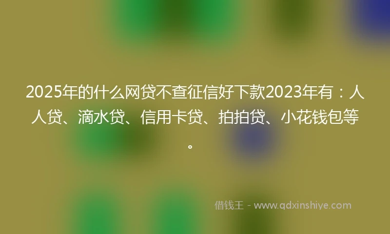 2025年的什么网贷不查征信好下款2023年有：人人贷、滴水贷、信用卡贷、拍拍贷、小花钱包等。