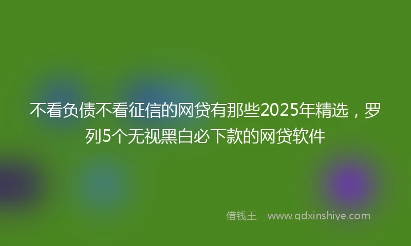 不看负债不看征信的网贷有那些2025年精选，罗列5个无视黑白必下款的网贷软件