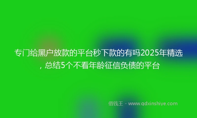 专门给黑户放款的平台秒下款的有吗2025年精选，总结5个不看年龄征信负债的平台