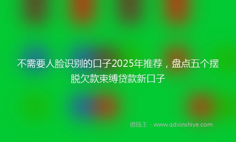 不需要人脸识别的口子2025年推荐，盘点五个摆脱欠款束缚贷款新口子